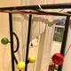 60s wall dressing room door, with colorful balls