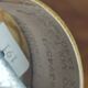 Vintage frosted glass shell wall sconces
