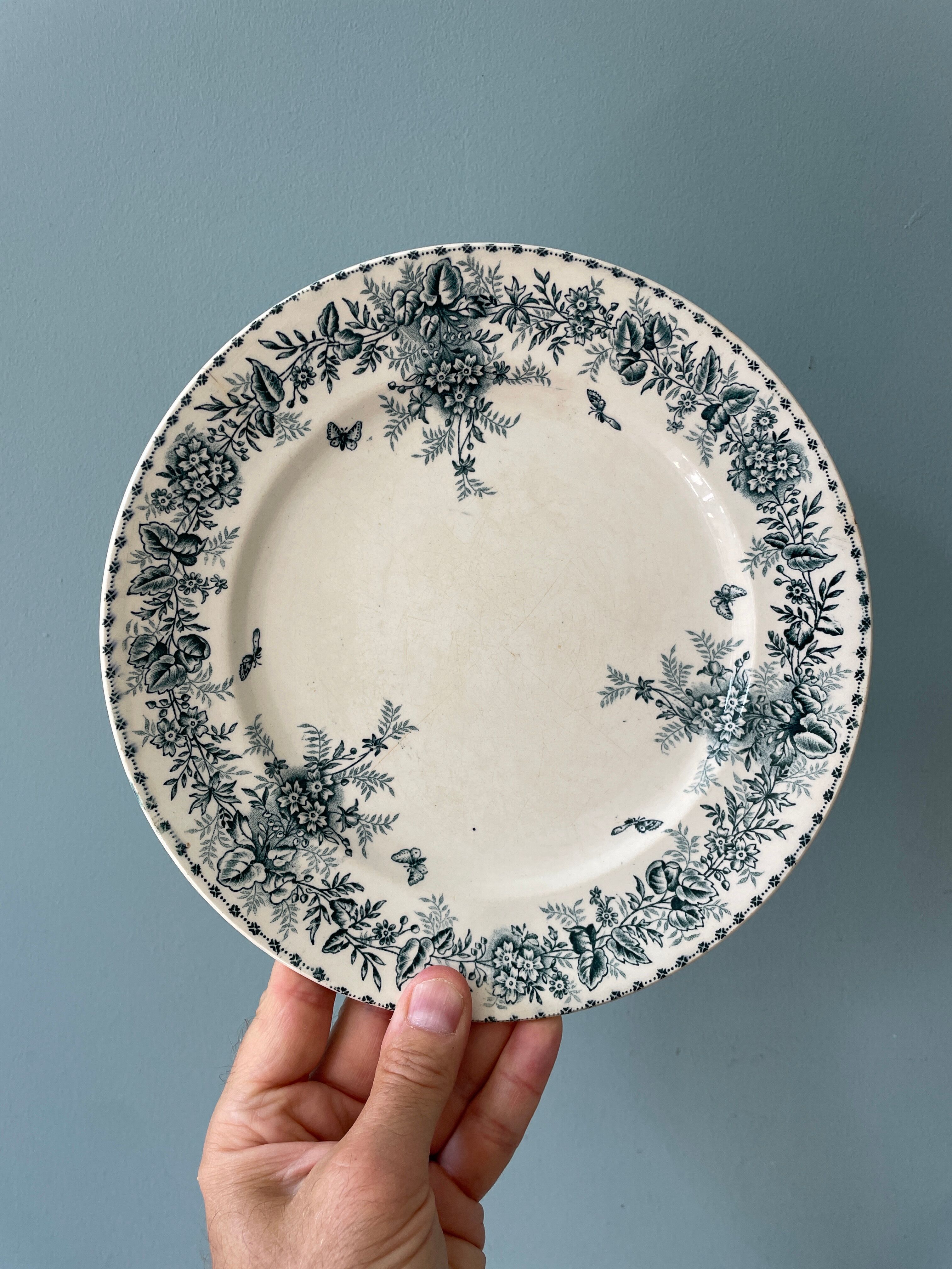 Set of 8 flat plates 19th century Terre de Fer, “Stella” Onnaing earthenware