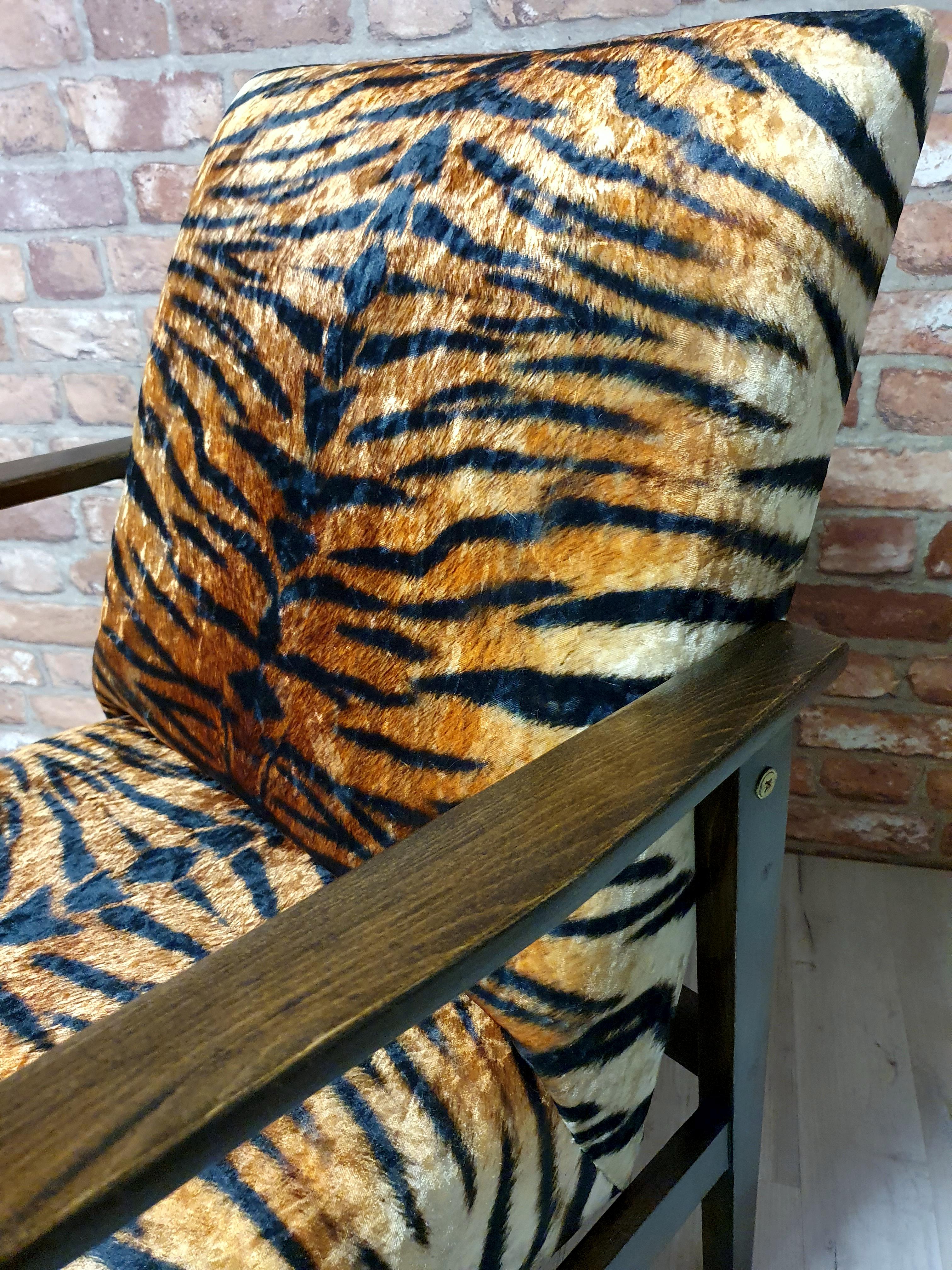 Renovated armchair BW-14, Tiger, Poland 1960s