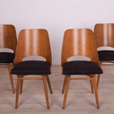 4 lollipop dining chairs from tatra, 1960s