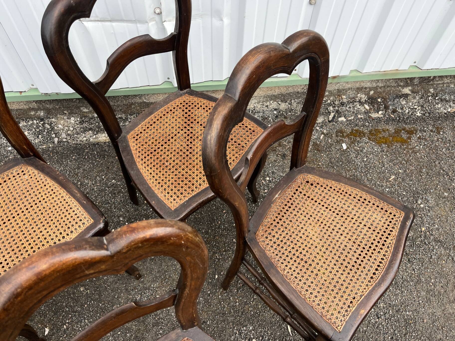 Série de 6 chaises à dossier trilobé de style Louis-Philippe