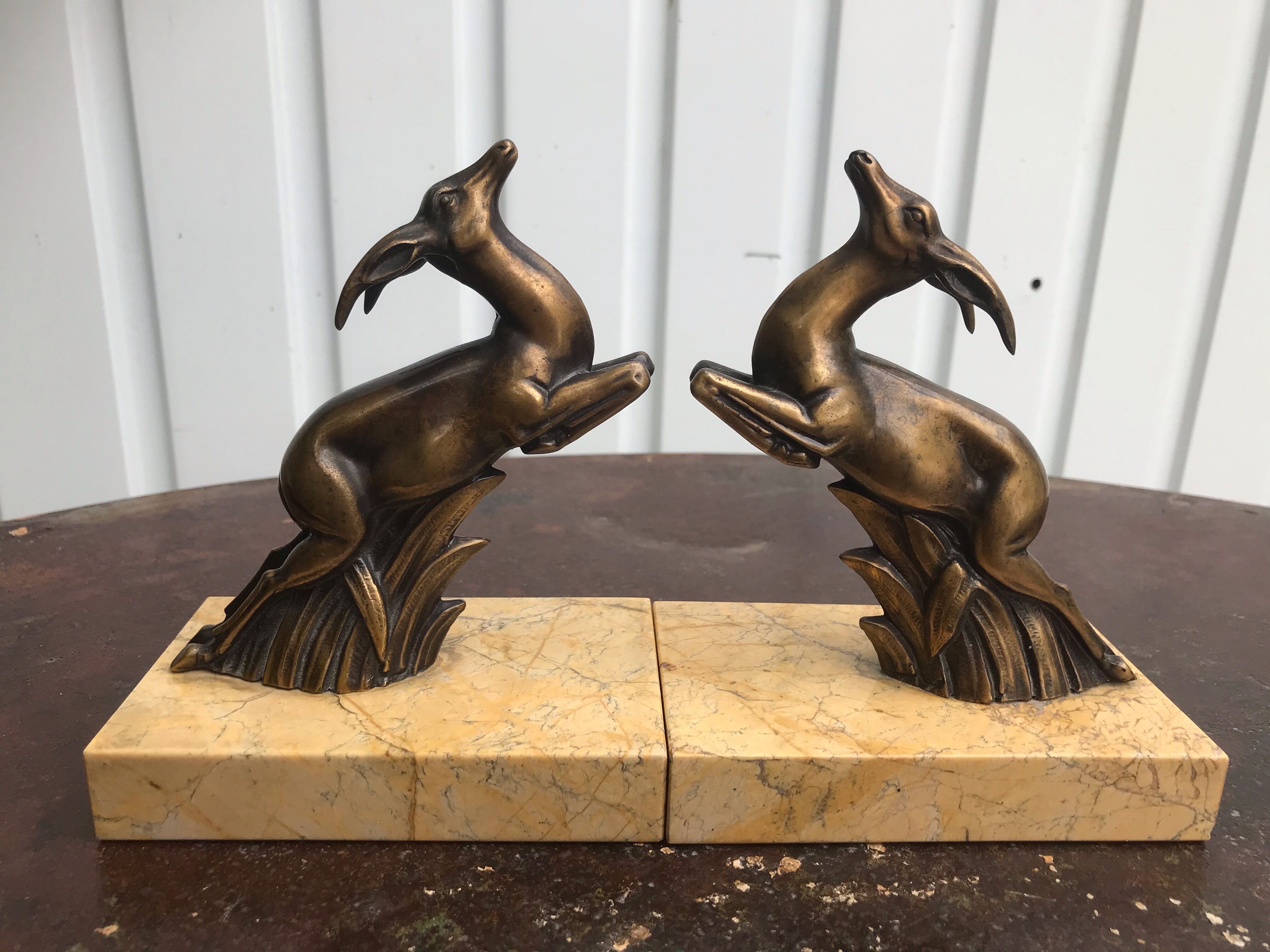 Greenhouse books antelopes