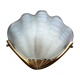 Wall lamp shell art deco in bronze and thick frost glass