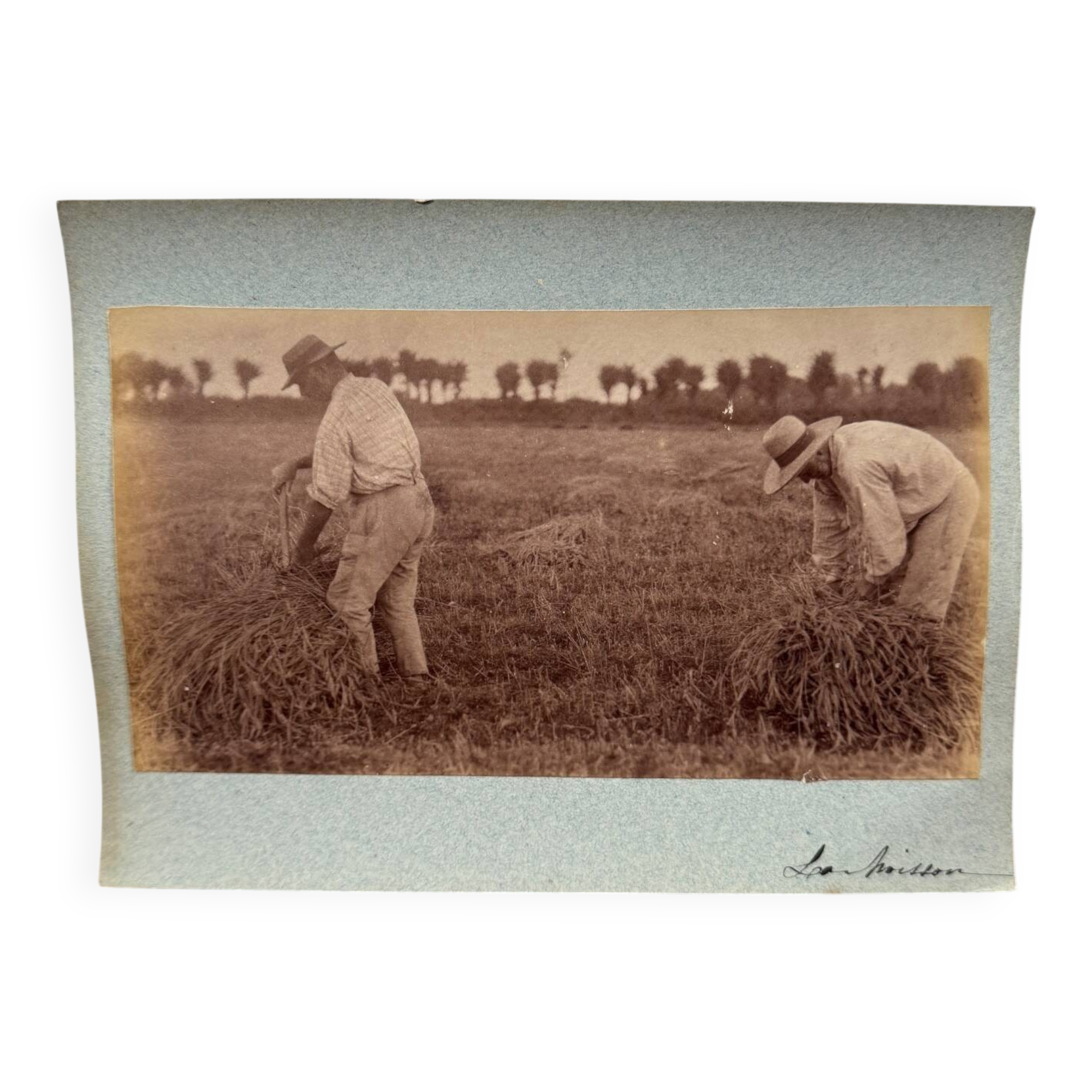 Photo albumine contrecollée sur carton représentant des moissonneurs XIXe
