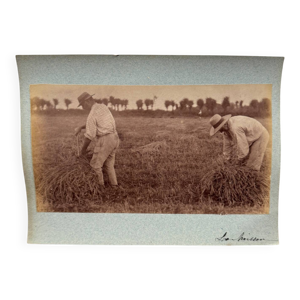Photo albumine contrecollée - carton
