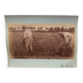 Photo albumine contrecollée sur carton représentant des moissonneurs XIXe