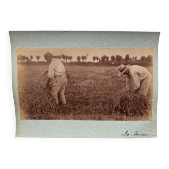 Photo album mounted on cardboard depicting 19th-century harvesters.