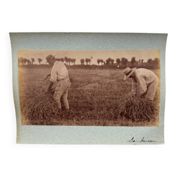 Photo albumine contrecollée sur carton représentant des moissonneurs XIXe