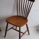 Two Scandinavian Chairs by Yngve Ekstrom for Pastoe 1960