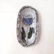 Vide poche chardon Vallauris Albert Thiry