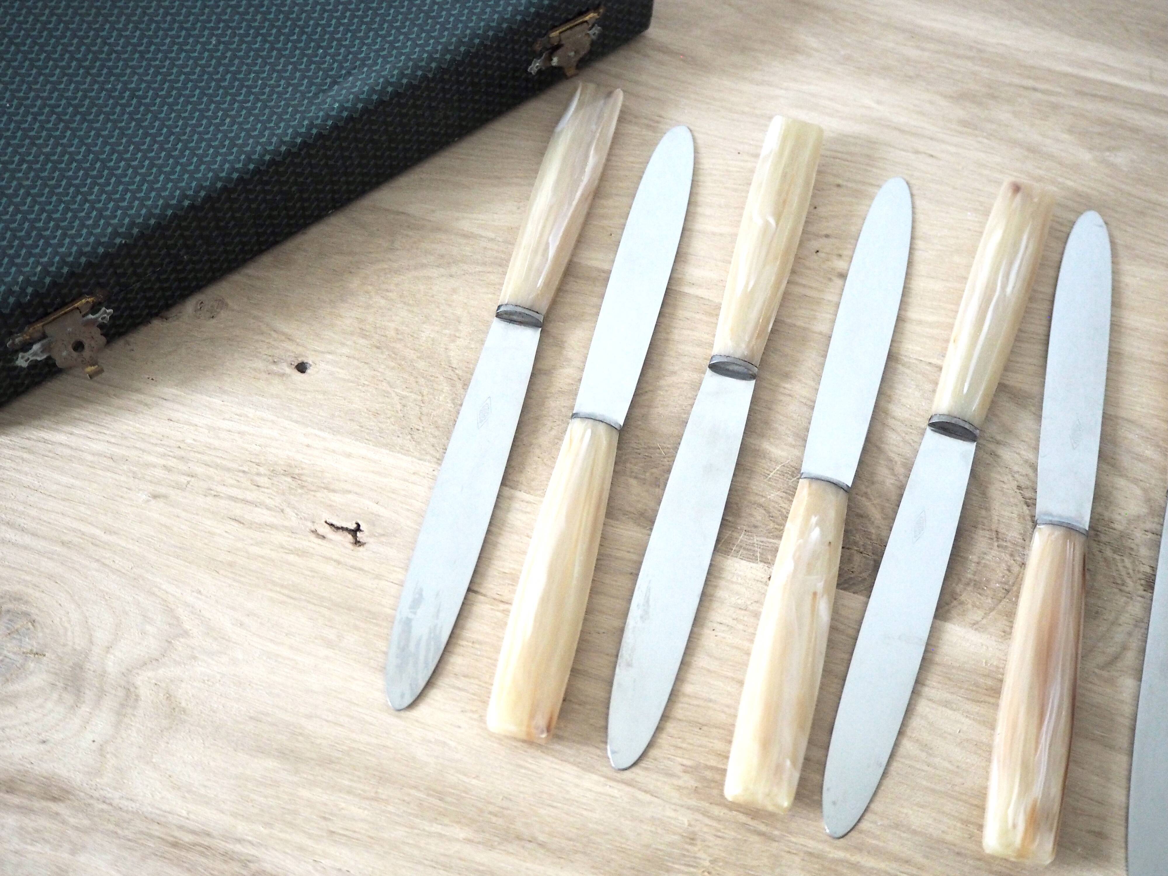 Set de 12 couteaux avec manches effet corne dans leur coffret