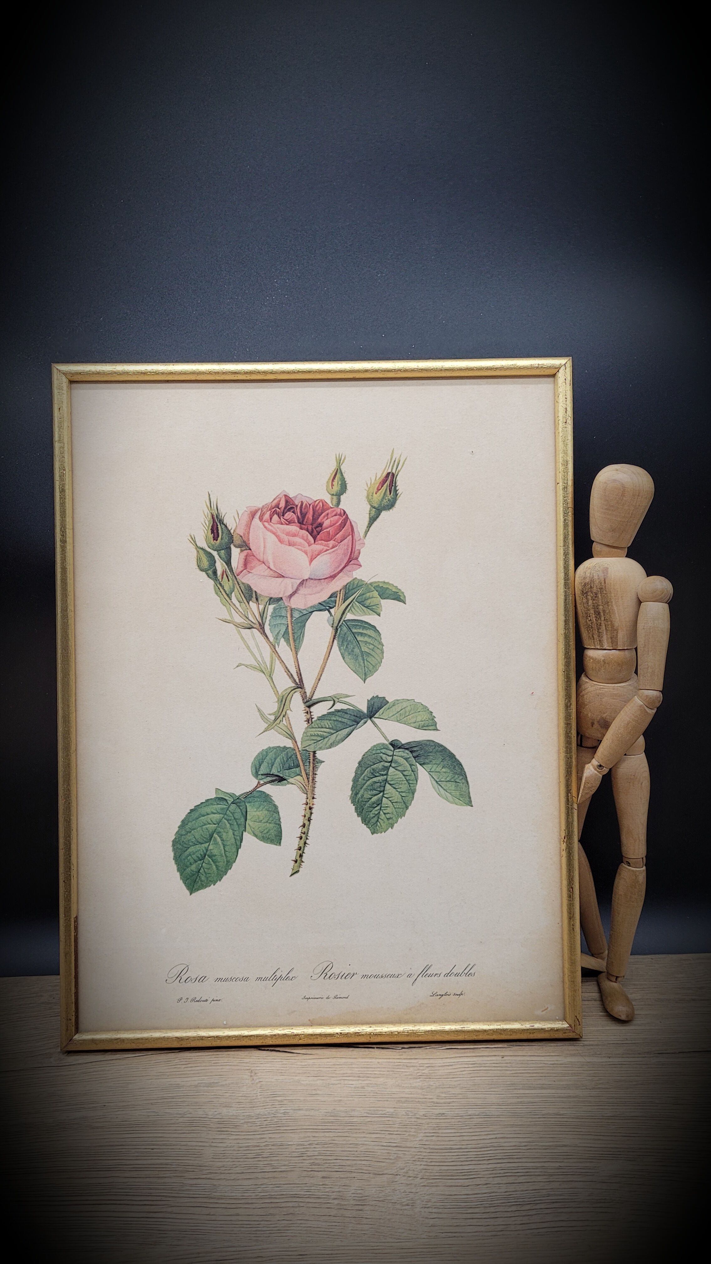 Litho frame sparkling rose with double flowers