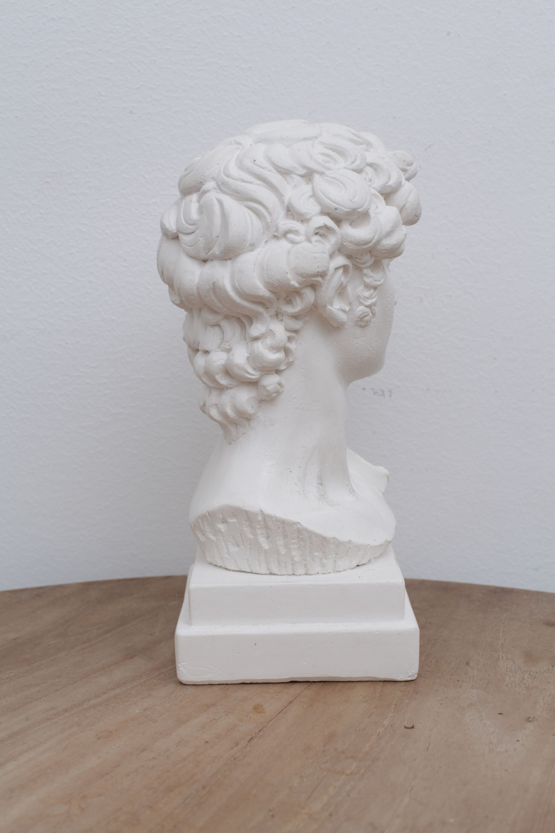 David head in waxed white plaster