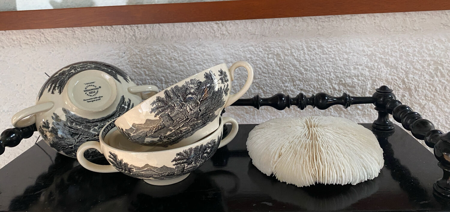 Set of 3 Wedgwood bowls in the Lugano pattern.