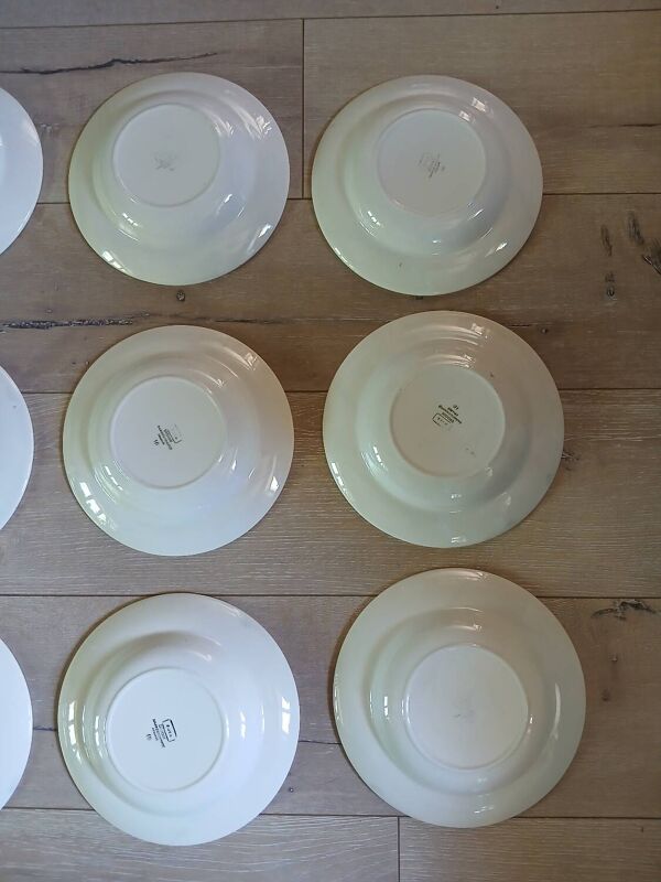 12 assiettes + 1 Plat Digoin et Sarreguemines