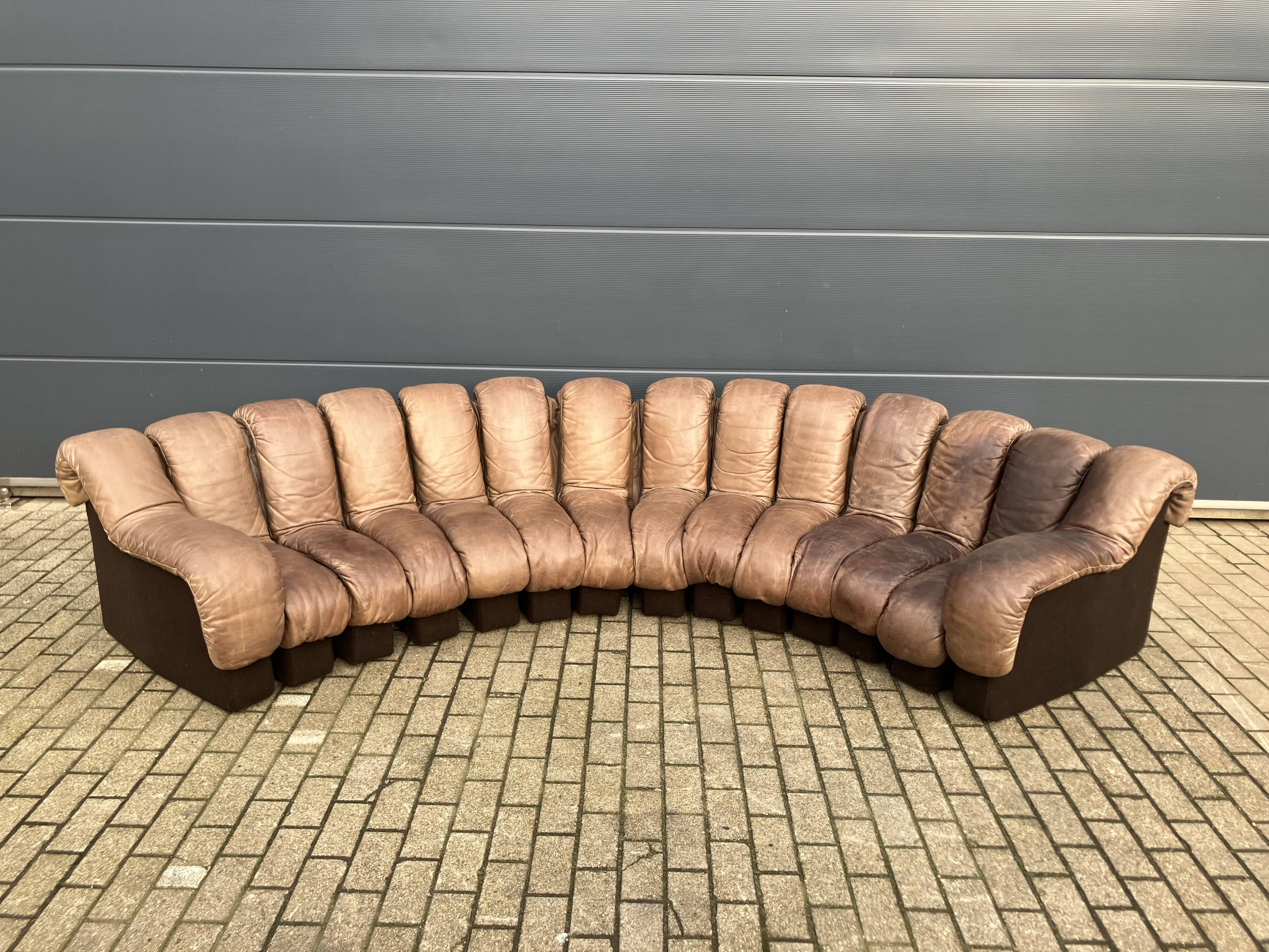 De Sede Ds600 Snake Tatzelwurm, 14 elements. Origineel in Topstaat!!