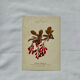 19th-century botanical engraving, double-sided, hand-coloured, plant from France.