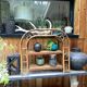 Bamboo shelf