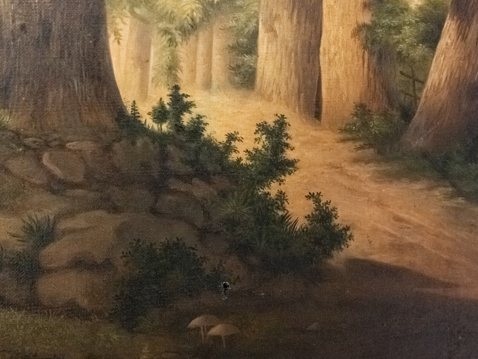 Oil on canvas undergrowth scene early twentieth century