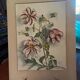 Watercolor flowers