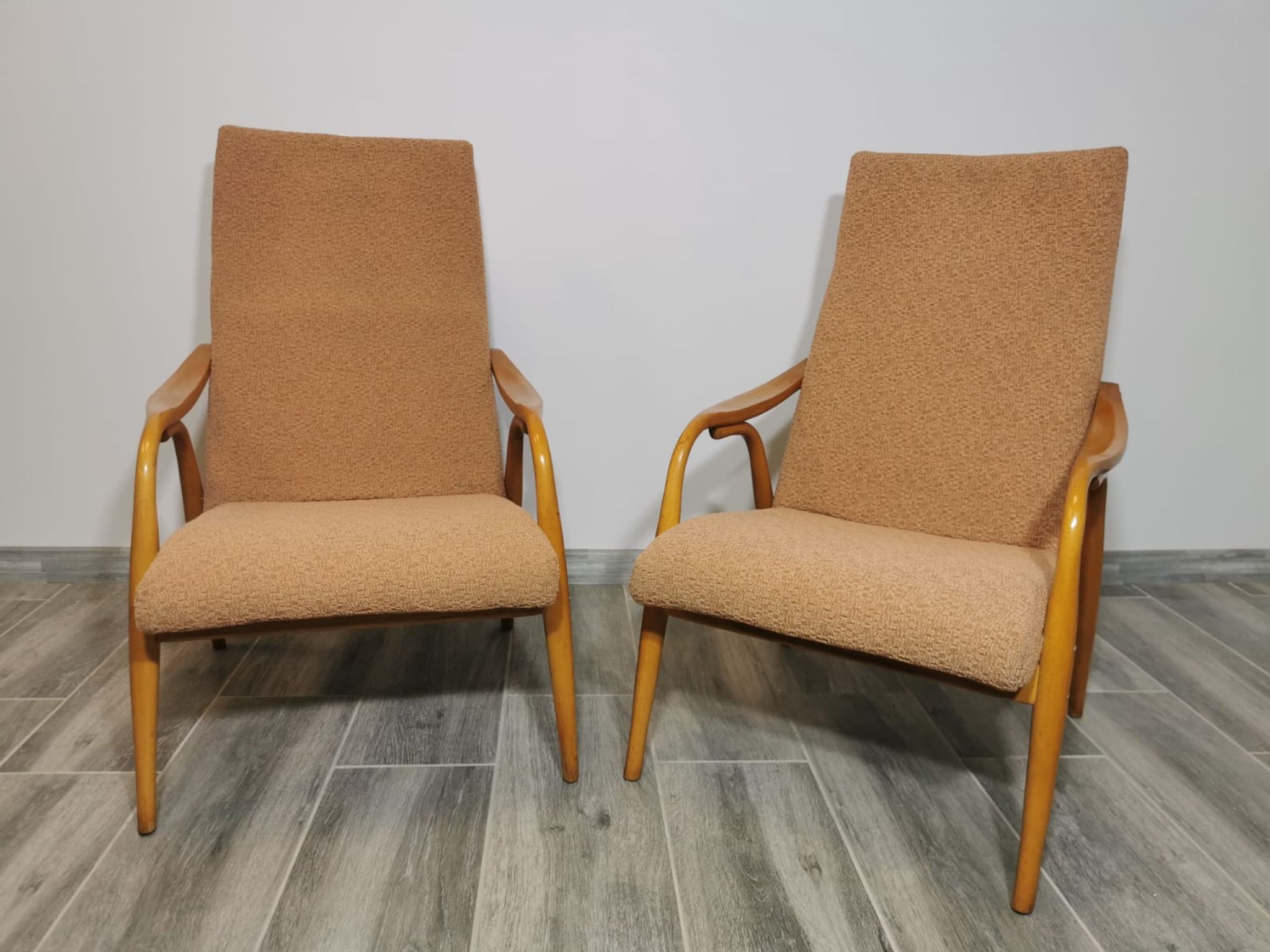 Lounge chairs by Antonin Suman