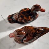 Couple of ducks
