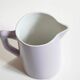Pitcher Moulin des Loups
