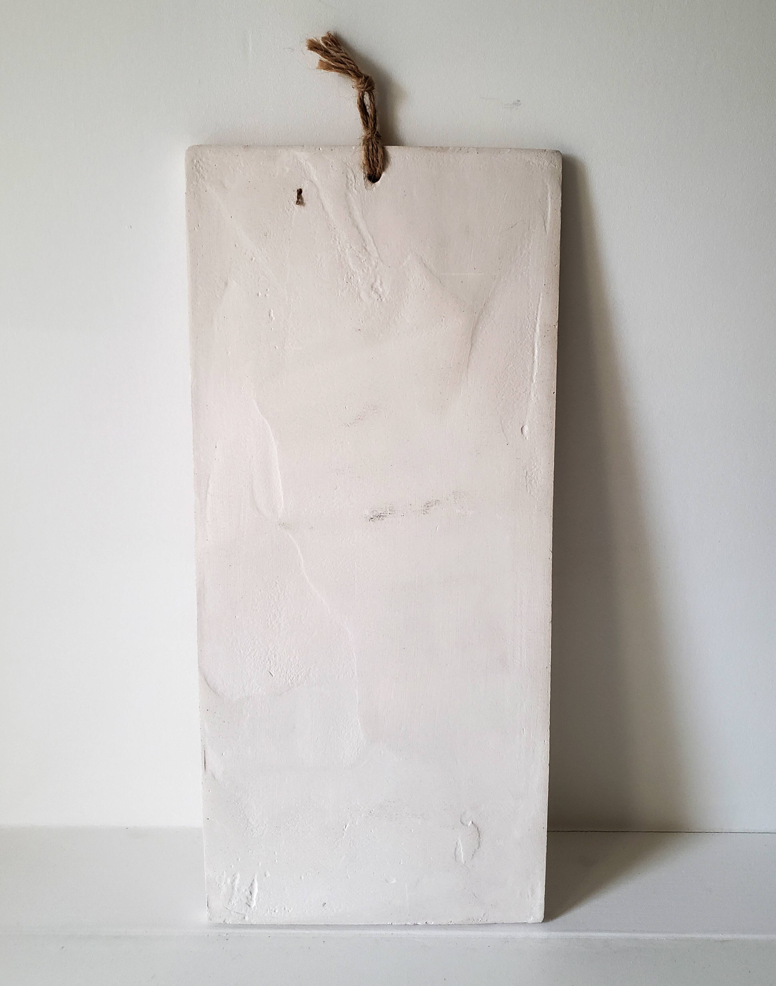 Plaster plant footprint