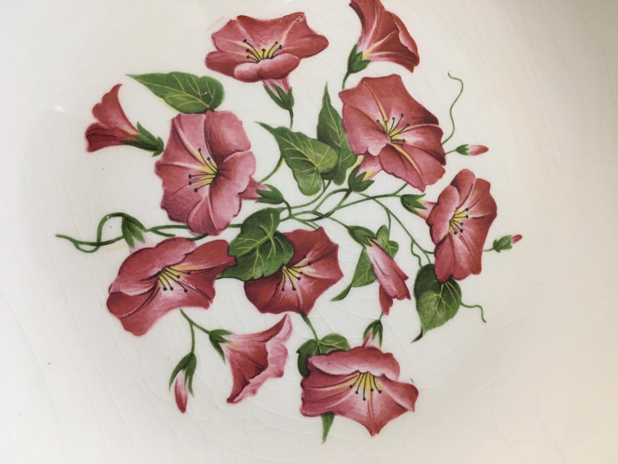 4 old flat plates in Gien porcelain
