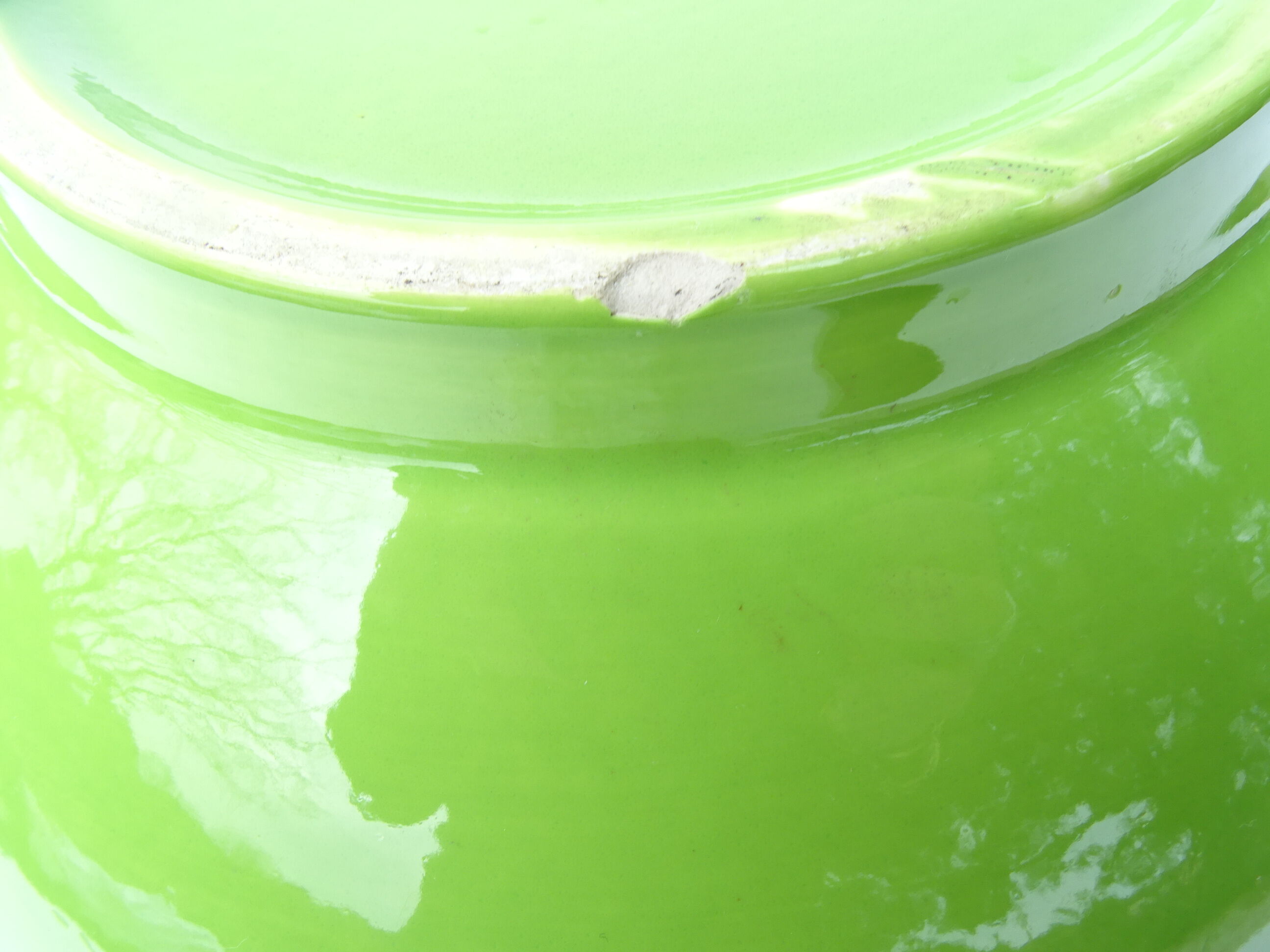 Salted apple green salad