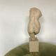 Bust of Aphrodite in plaster