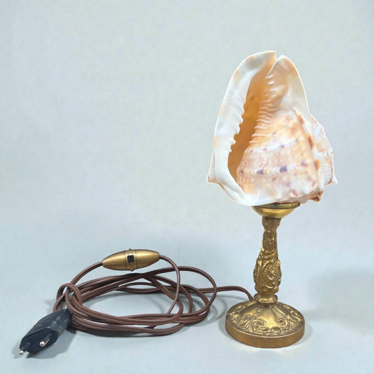 Cassis Cornuta shell lamp on a bronze base - Shell nightlight