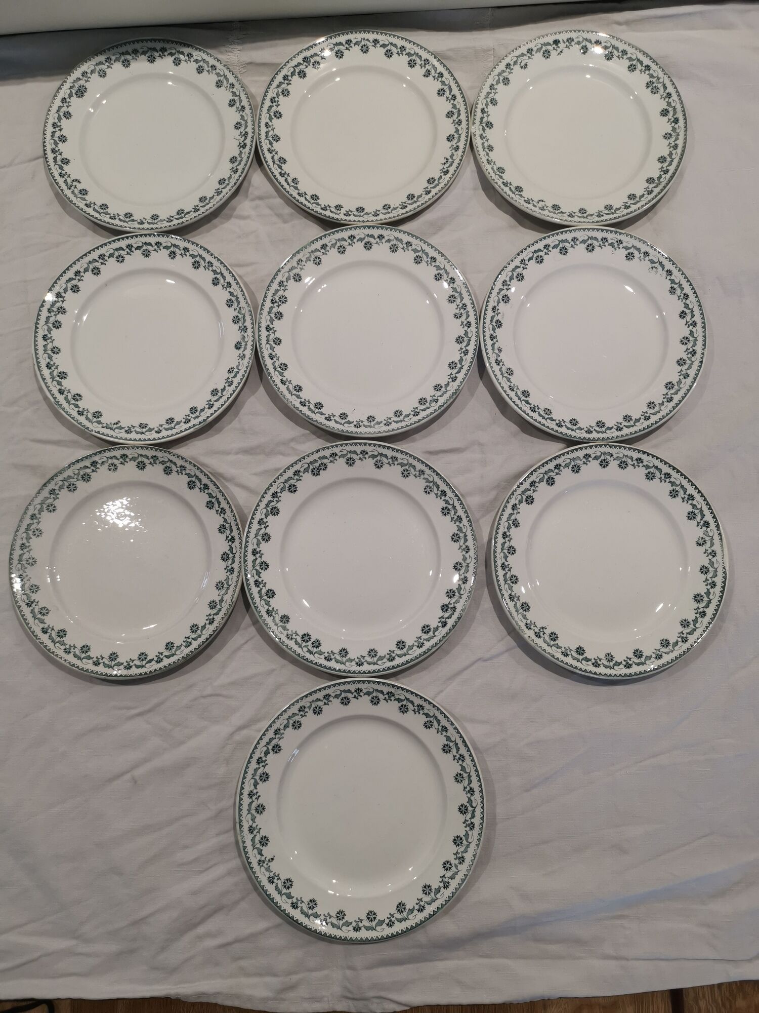 Set of 10 semi-hollow plates iron earth Moulin des loups "Georgette"