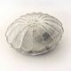 Applique plafonnier verre oursin