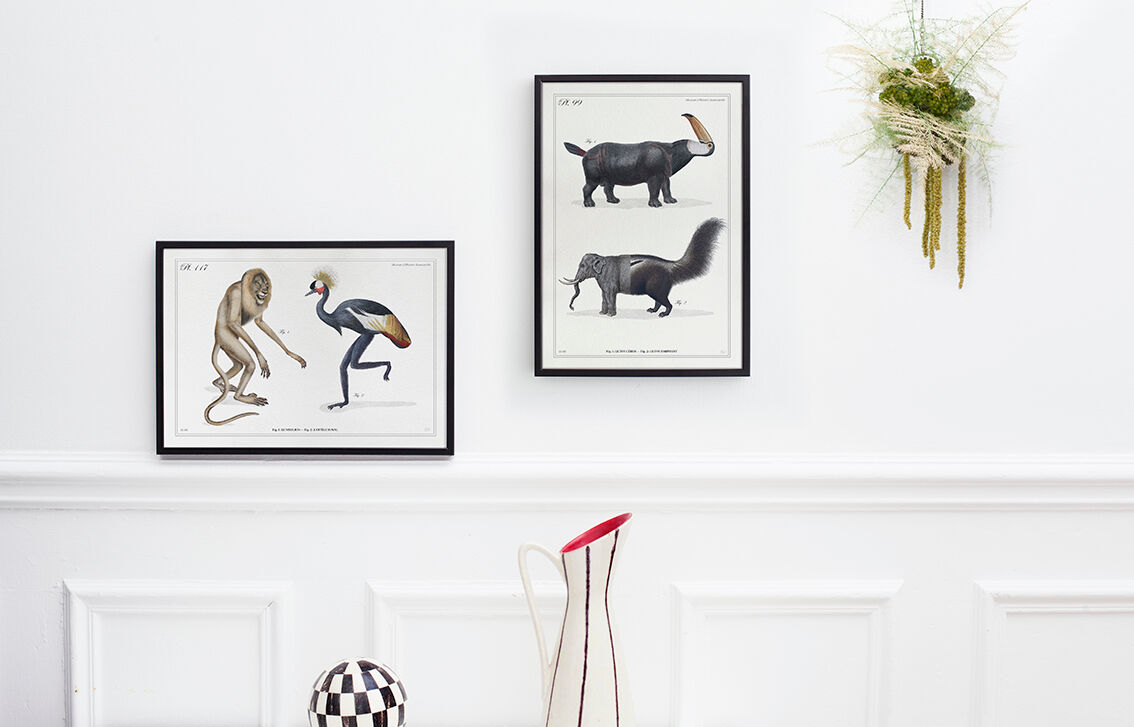 3 chimeras lithograph animal engraving