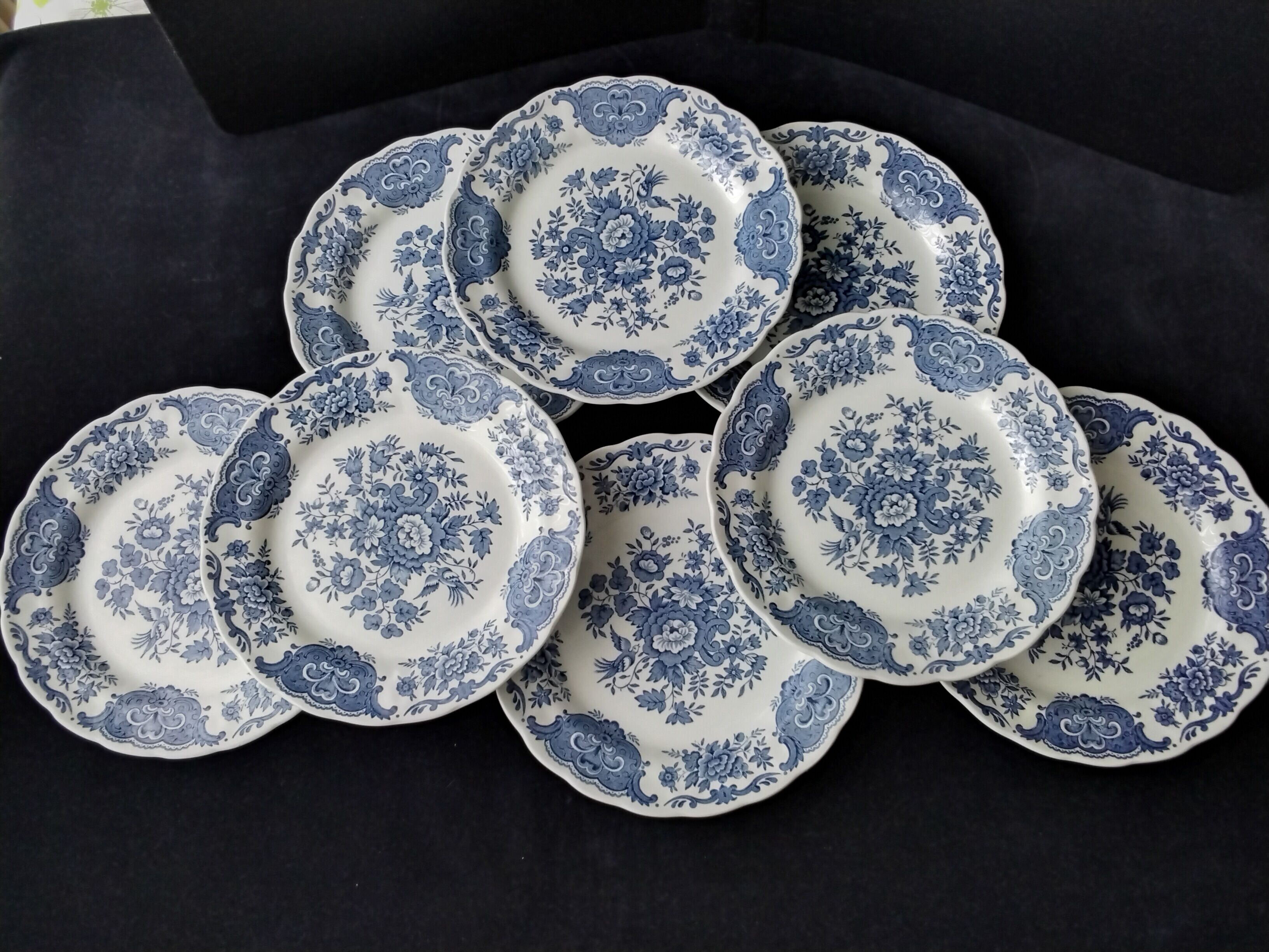 Set of 8 ridgway staffordshire dessert plates windsor model