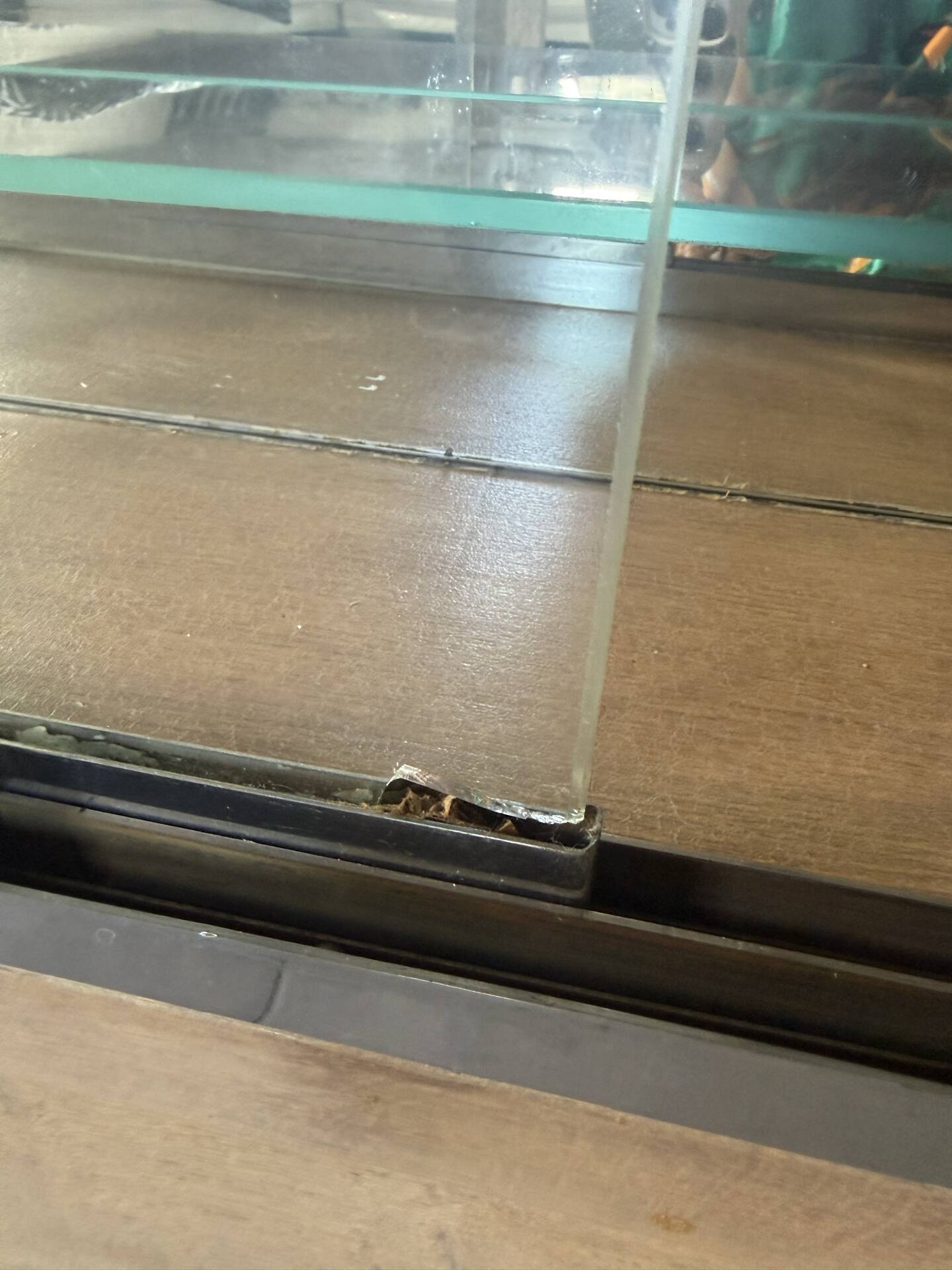 meuble de métier / vitrine de pharmacie