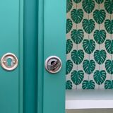 Parisian glazed wardrobe 1930