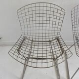 4 chairs by Bertoia Harry for Knoll, 1980