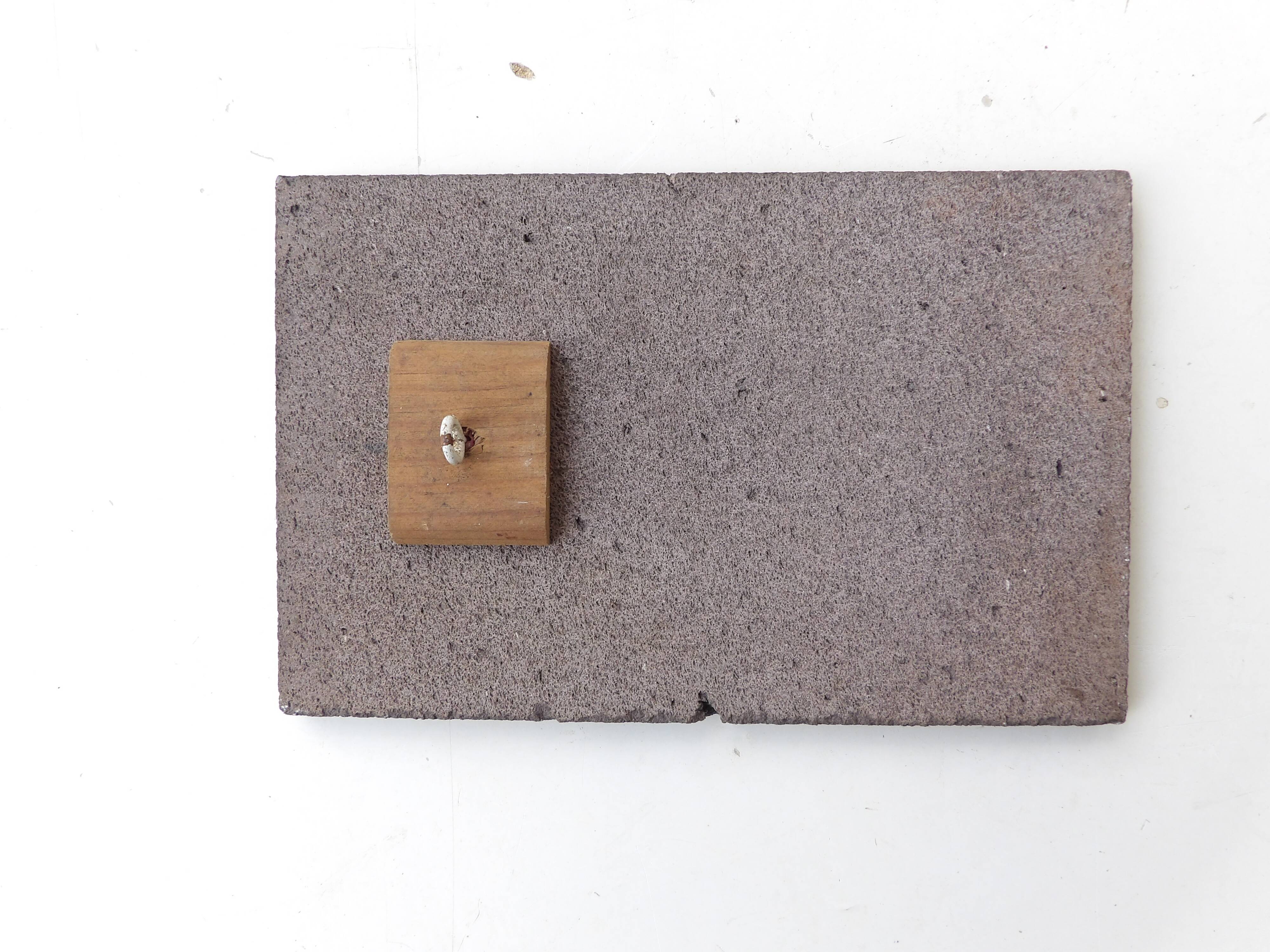 enamelled lava plate