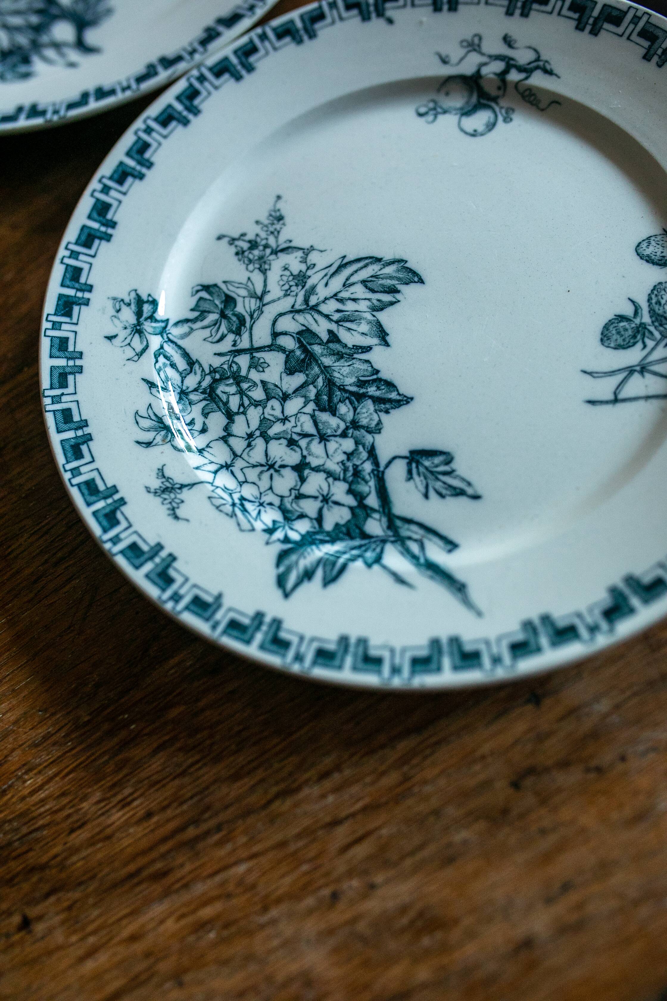Les 6 assiettes sarreguemines
