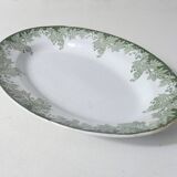 flat oval iron ground PLANE TREE