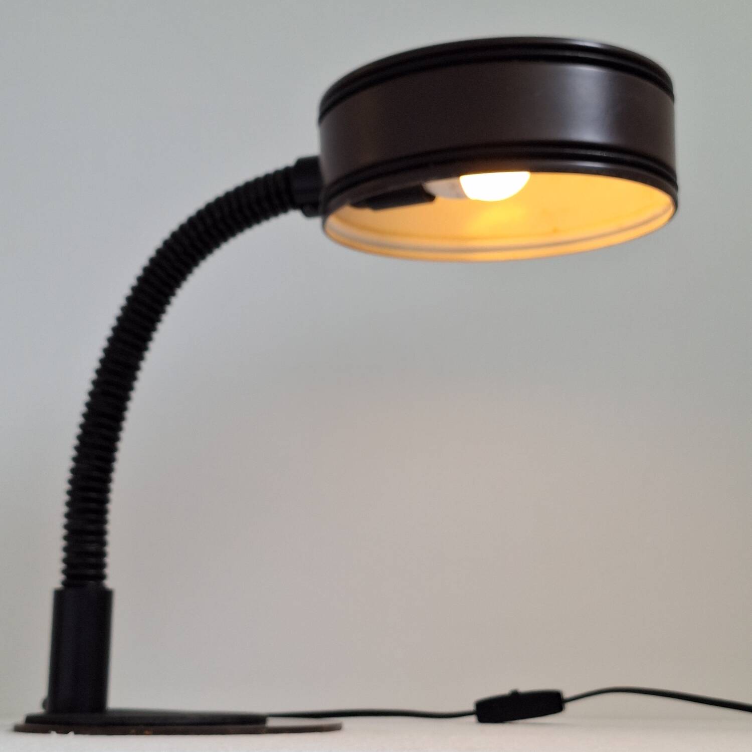 Massive Lighting Vintage Belgian Gooseneck Desk Lamp