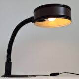 Massive Lighting Vintage Belgian Gooseneck Desk Lamp