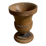 Medici vase in olive tree