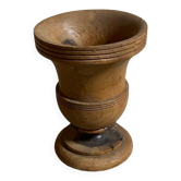 Medici vase in olive tree