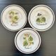 Collection of 3 botanical dishes made in Italy.