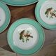 Lot 1 large oval dish and 3 bird plates Green background