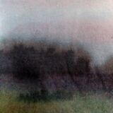 Ink landscape Between dog and wolf 7